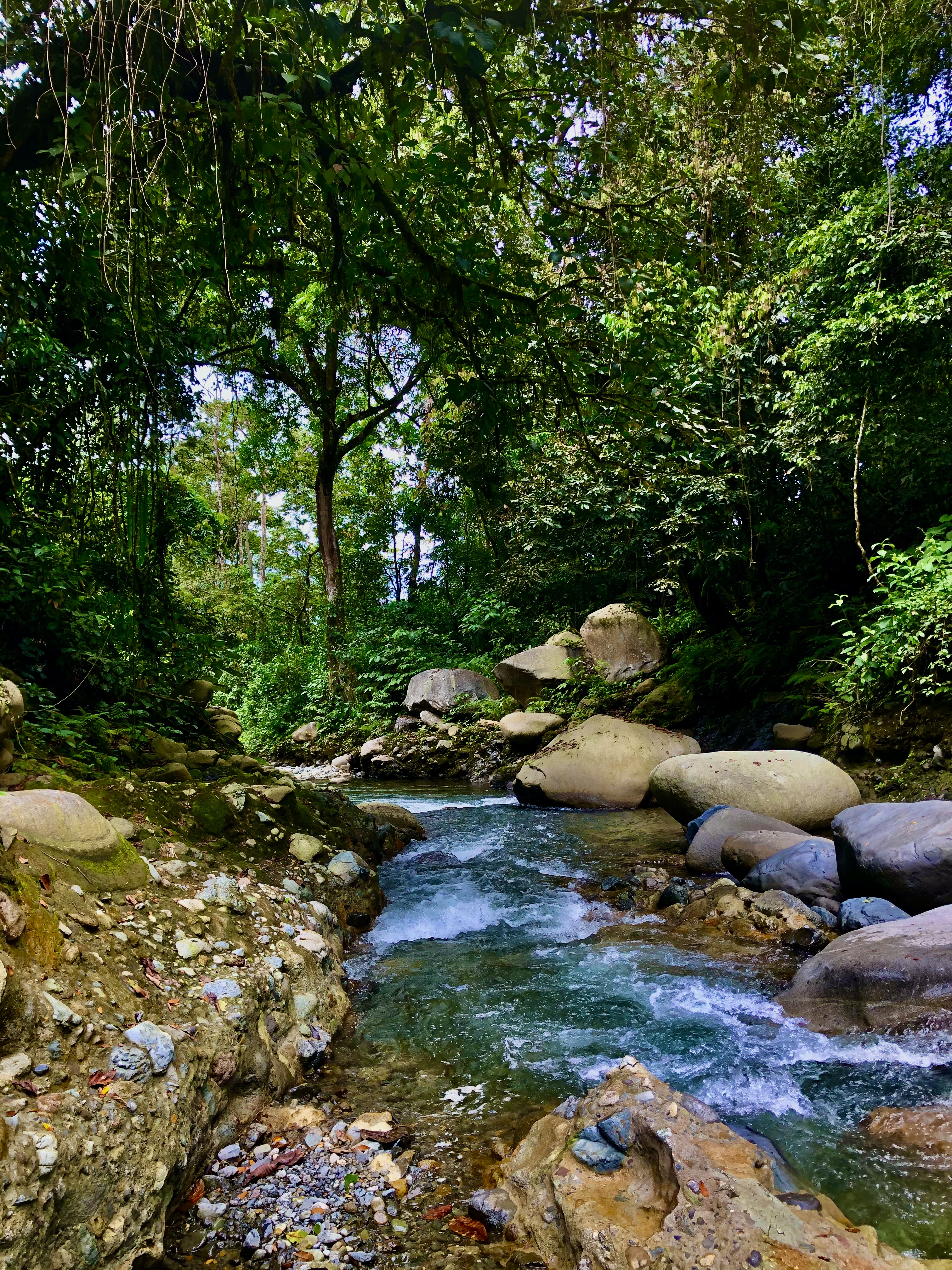 A serene river or stream flows gently through a natural landscape, its waters reflecting the surrounding environment. The image evokes clarity, flow, and the peaceful movement of life's currents.